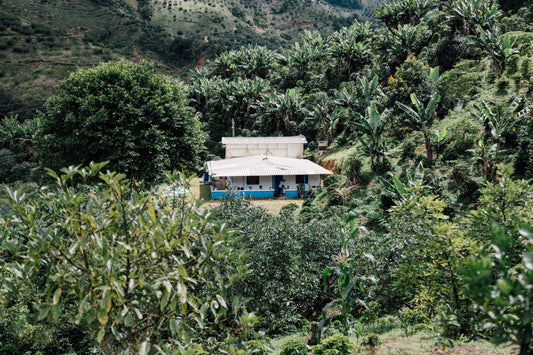 Colombia Bella Vista, Carmen Montoya