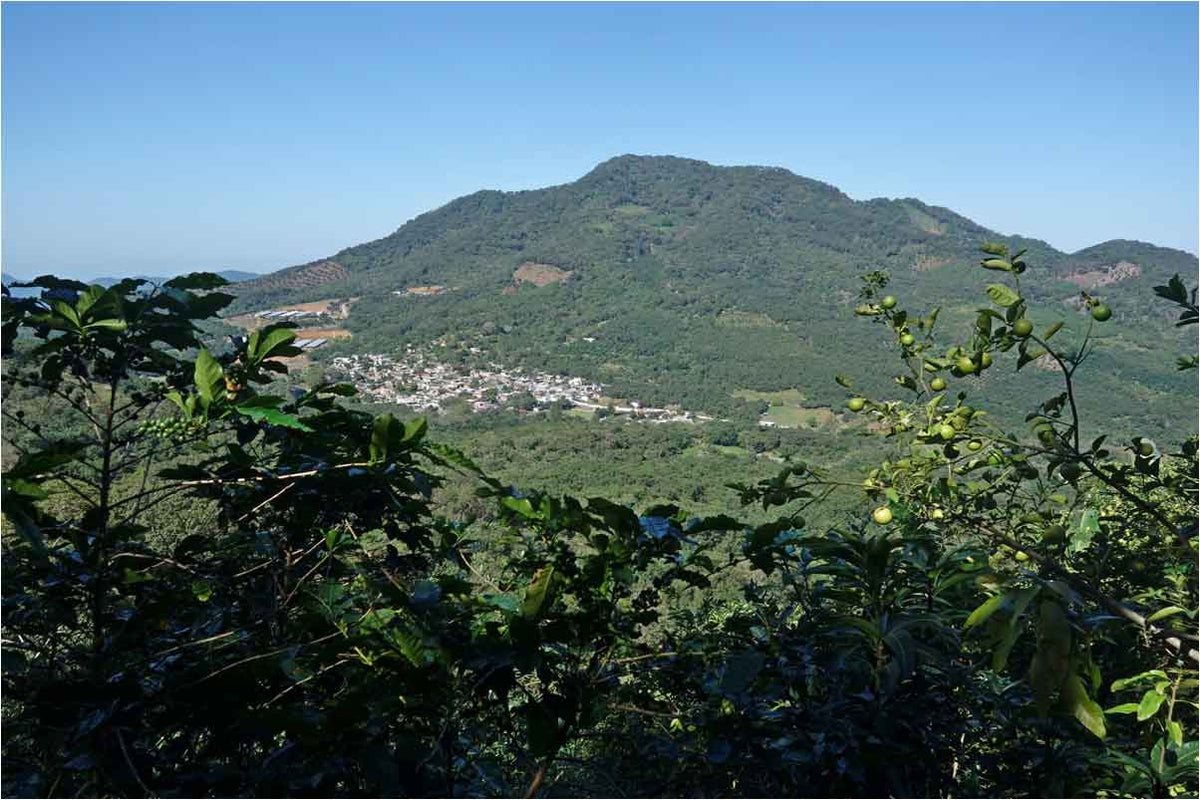 Scenic view of a mountainous landscape with a village nestled among greenery.