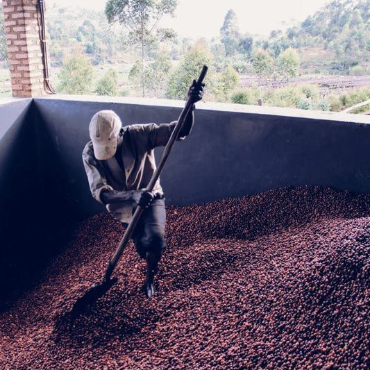 Burundi Nemba Station