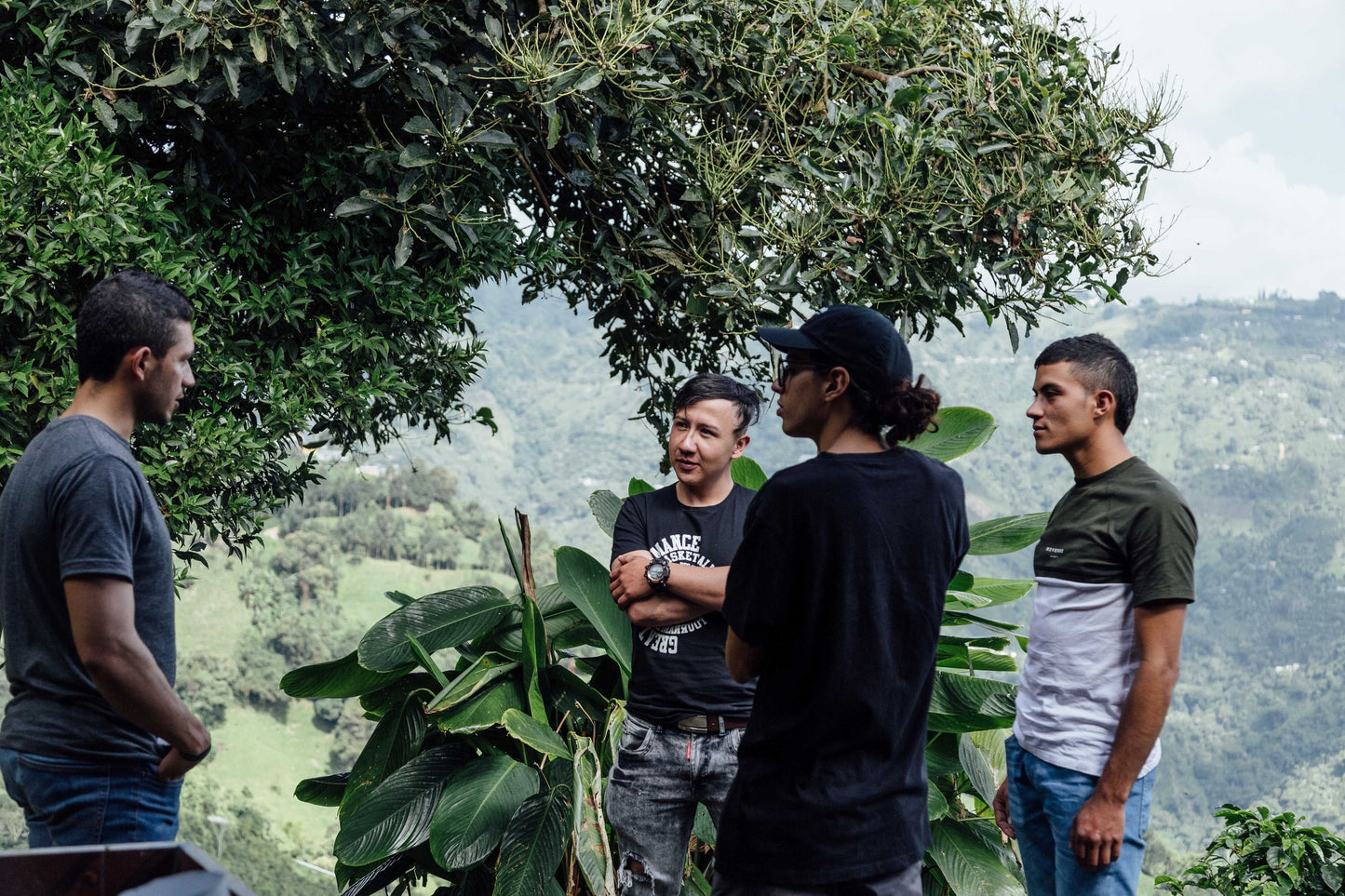 Colombia Recruitment Lot, Young Producers