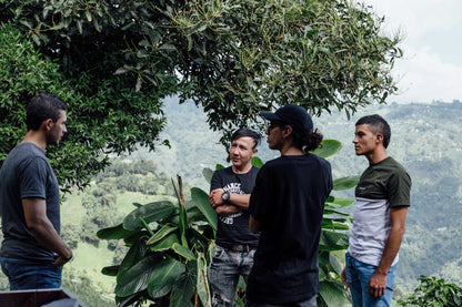 Colombia Recruitment Lot, Young Producers