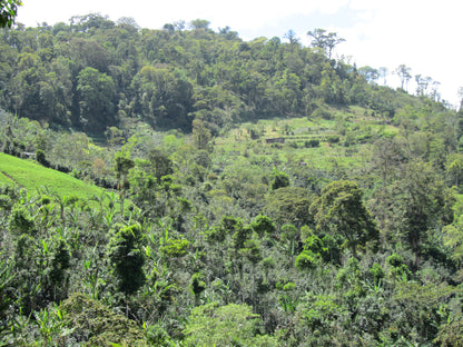 Nicaragua El Diamante, Blanca Nieve