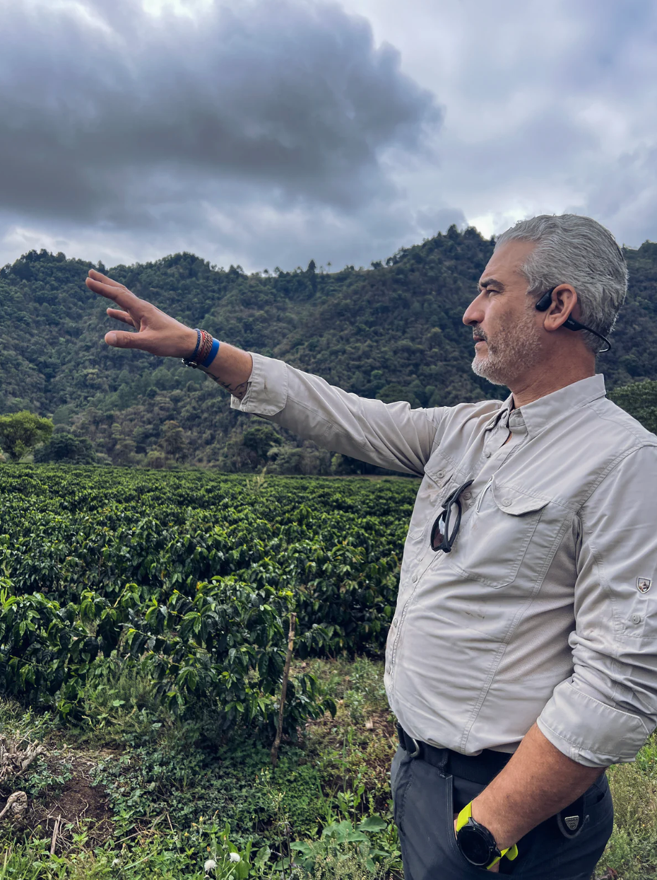 Guatemala El Socorro Single Origin