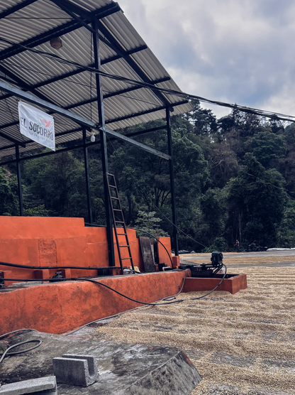 Guatemala El Socorro Single Origin