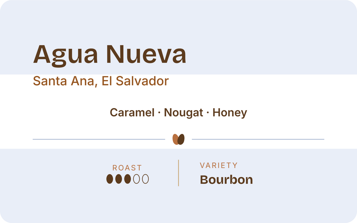 El Salvador Agua Nueva - Wholesale 5lb