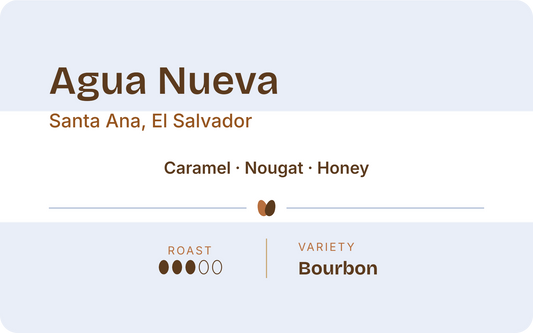El Salvador Agua Nueva - Wholesale 5lb