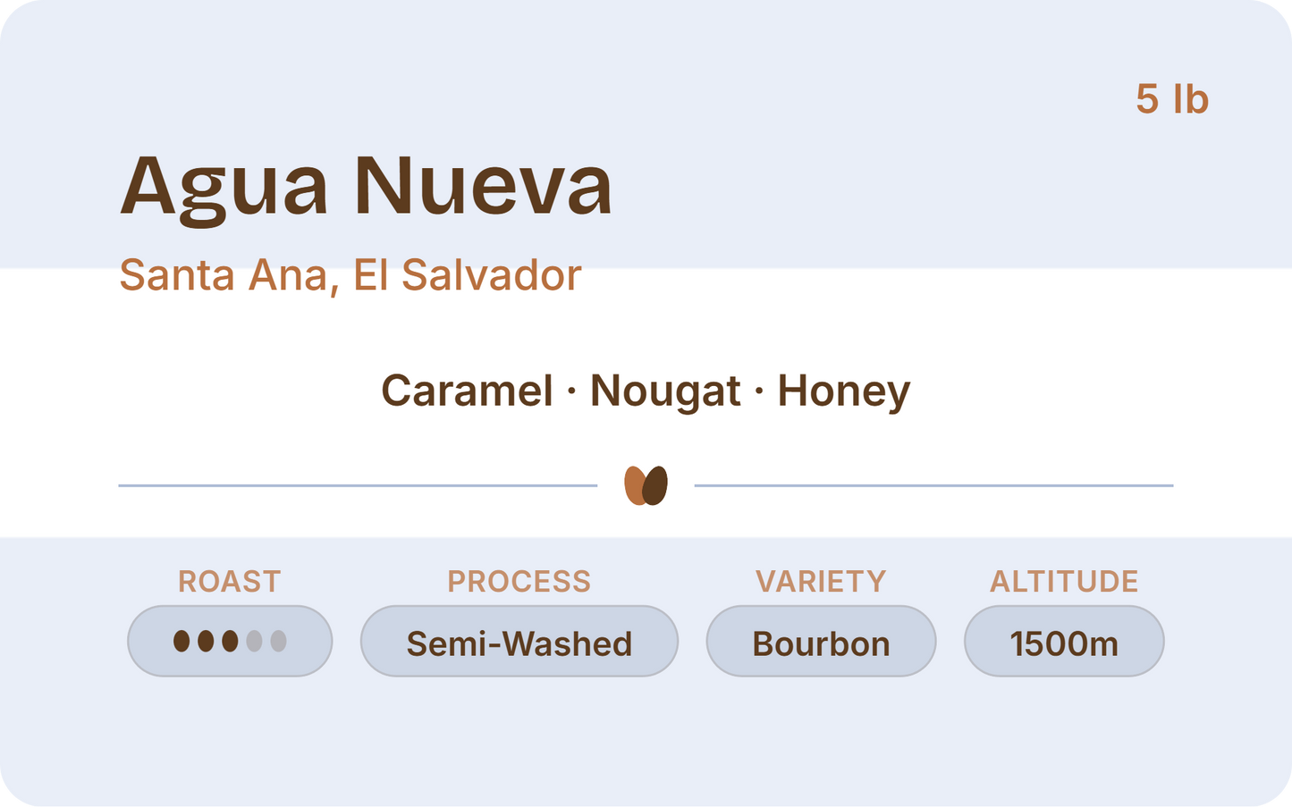 El Salvador Agua Nueva - Wholesale 5lb