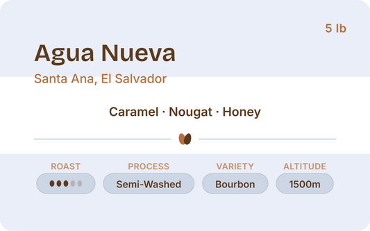 El Salvador Agua Nueva - Wholesale 5lb