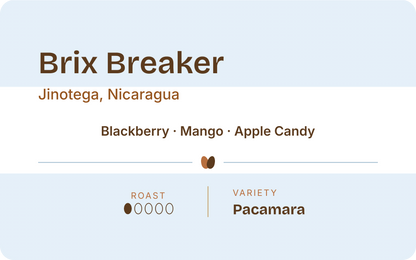 Nicaragua Brix Breaker