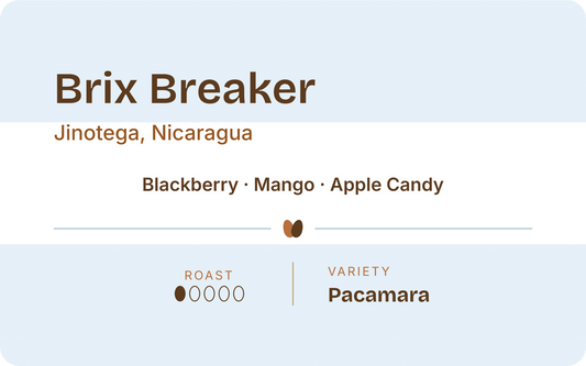 Nicaragua Brix Breaker