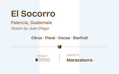 Guatemala El Socorro