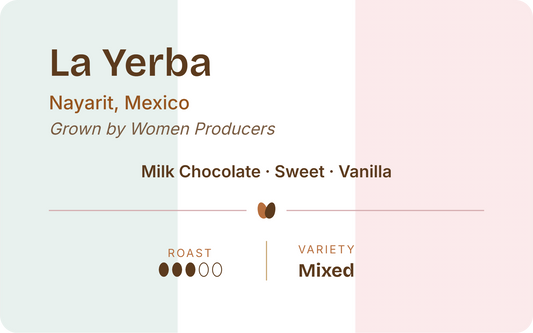 Mexico La Yerba, Women Producers