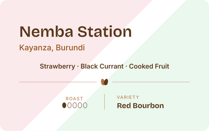Burundi Nemba Station