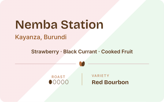 Burundi Nemba Station