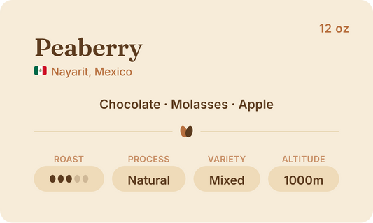 Mexico Peaberry