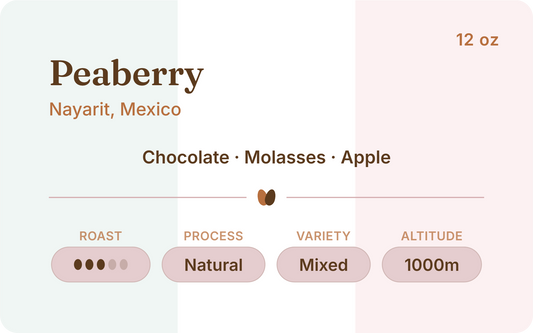 Mexico Peaberry