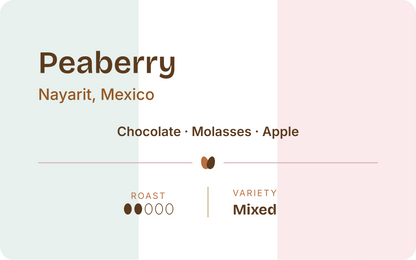 Mexico Peaberry
