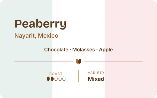 Mexico Peaberry