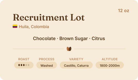 Colombia Recruitment Lot, Young Producers