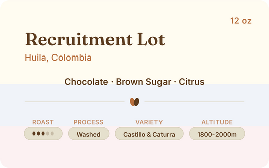 Colombia Recruitment Lot, Young Producers