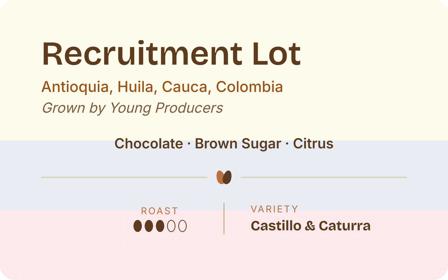 Colombia Recruitment Lot, Young Producers
