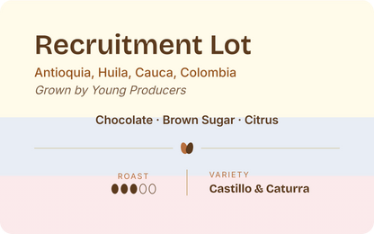 Colombia Recruitment Lot, Young Producers